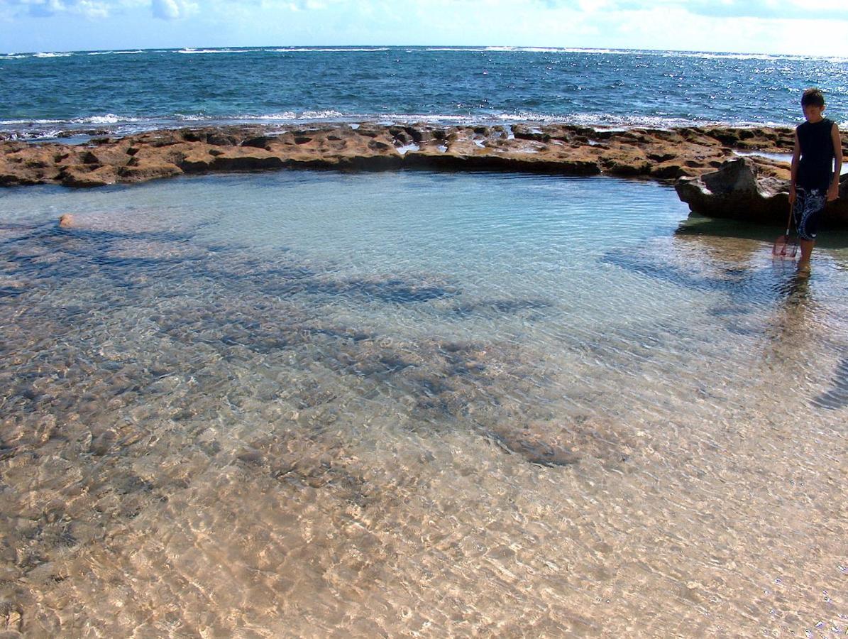 Itʻs All About The Beach Villa Hau'ula Esterno foto